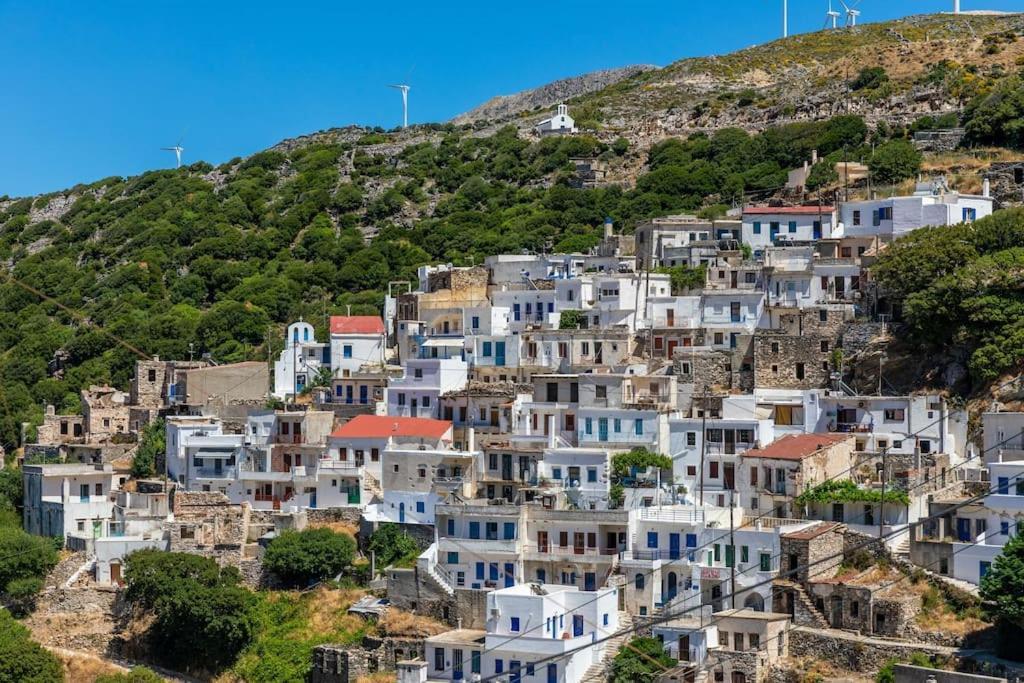 Eleni'S House Villa Koronos ภายนอก รูปภาพ